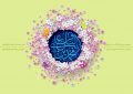 حلول ماه رجب و ولادت با سعادت امام محمد باقر علیه السلام مبارک باد.