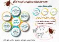 در آستانه عید قربان مراقب تب «کریمه کنگو» باشید.